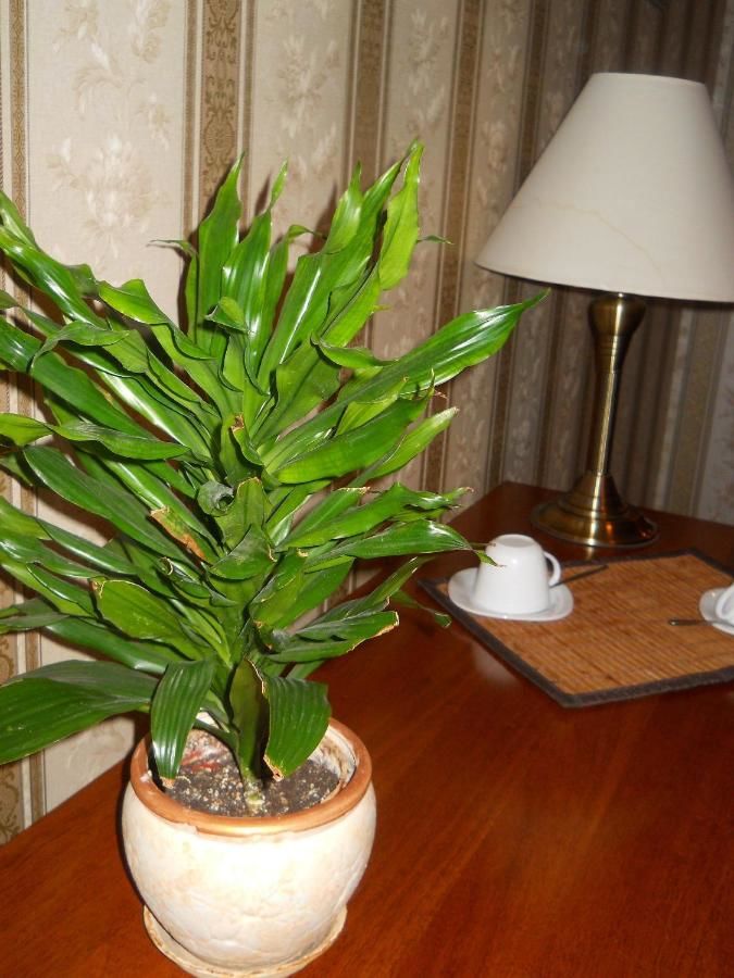 Отель Diplomat ApartHotel Киев-18