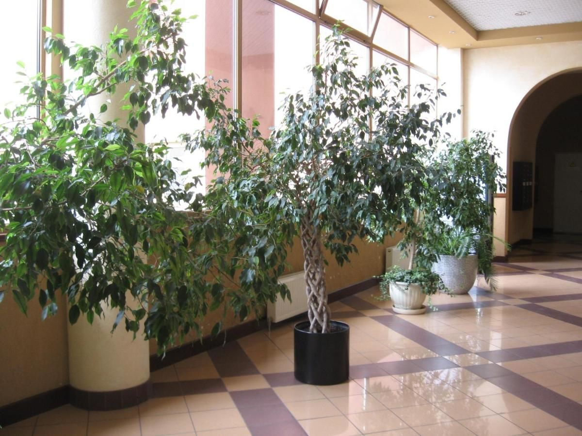 Отель Diplomat ApartHotel Киев-12