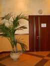 Отель Diplomat ApartHotel Киев-7