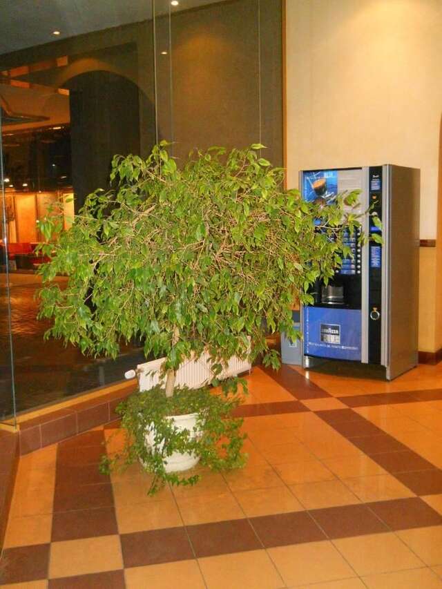 Отель Diplomat ApartHotel Киев-9