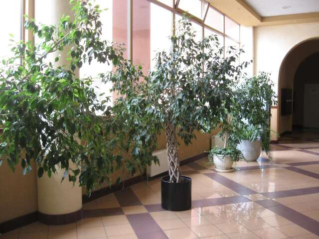 Отель Diplomat ApartHotel Киев-11